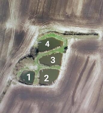 Foto - Teichanlage mit 4 Teichen zu verpachten