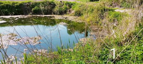 Foto - Grundstück zur Miete in Albersdorf
