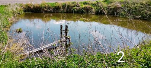 Foto - Grundstück in Albersdorf