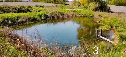 Foto - Grundstück in Albersdorf zur Miete