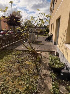 Foto - 2 Zimmer Erdgeschoßwohnung zur Miete in Duisburg
