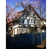Landhaus mit Pferdestall zu vermieten - Keltern