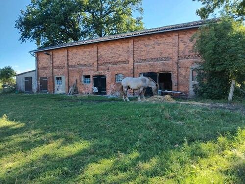 Foto - Einfamilienhaus in Lübz zum Kaufen