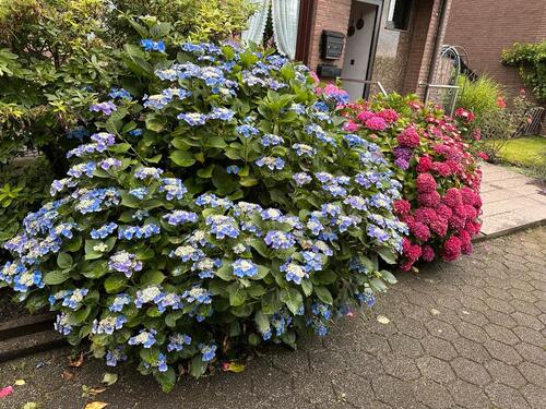 Foto - Einfamilienhaus in Mülheim an der Ruhr