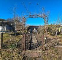 Kleingarten (360 m²) in Schwerin - Mueßer Pforte