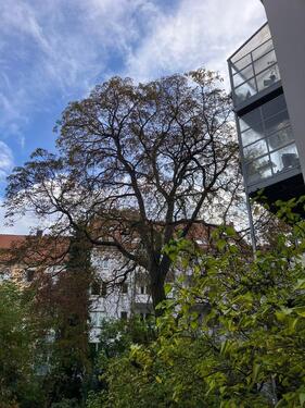Foto - Etagenwohnung in Hannover