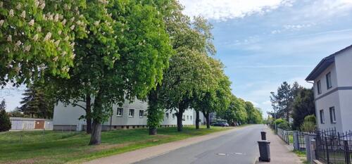 Foto - Komplett sanierte 2-Zimmer-Wohnung in FEHRBELLIN