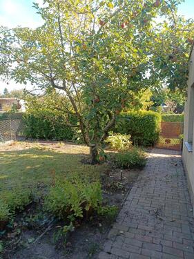 Foto - Garten im KGV - 800,00 EUR Kaltmiete, ca.  0,00 m²