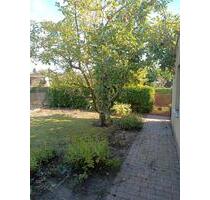 Garten im KGV - 700,00 EUR Kaltmiete, ca.  0,00 m² in Neubrandenburg (PLZ: 17034) Datzeberg