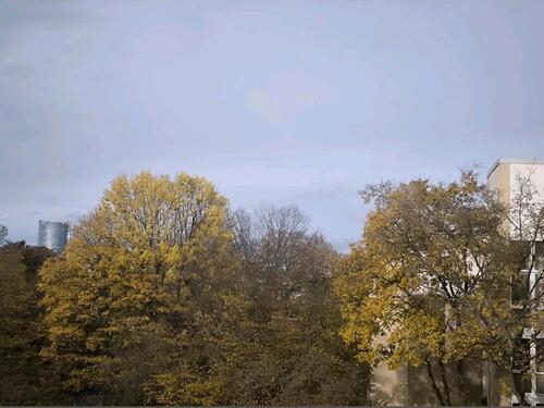 Foto - Etagenwohnung in Bonn zum Kaufen