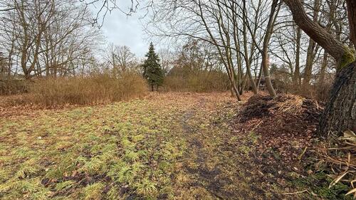 Foto - Grundst&uuml;ck zur Miete in Zossen