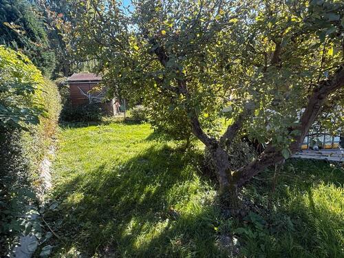 Foto - Grundst&uuml;ck in Wismar zur Miete