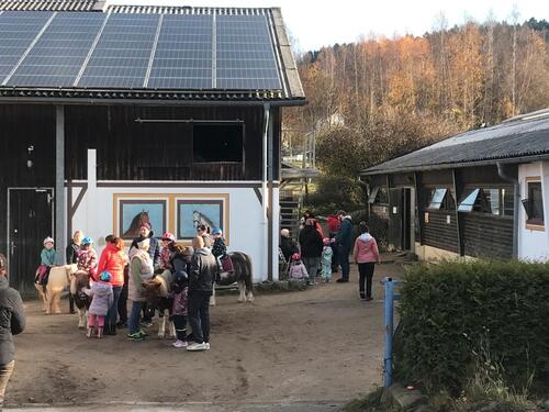 Foto - andere in Regensburg