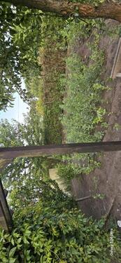 Foto - Grundst&uuml;ck zur Miete in Schwedt (Oder)