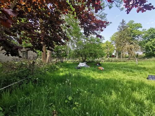 Foto - 532 qm GartengrundstückErholungsfläche in Gnoien zu verpachten !