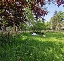 532 qm GartengrundstückErholungsfläche in Gnoien zu verpachten !