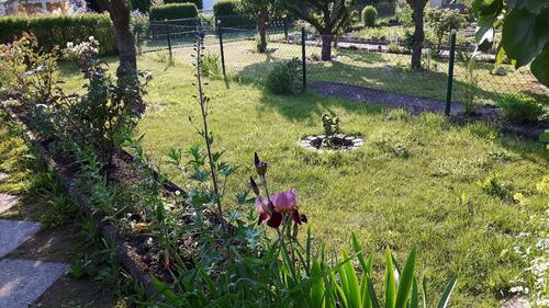 Foto - Grundst&uuml;ck in Stralsund zur Miete