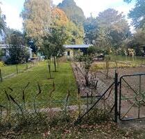 Kleingarten mit Steinlaube und Carport - Stralsund Langendorfer Berg