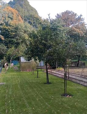 Foto - Grundst&uuml;ck in Stralsund