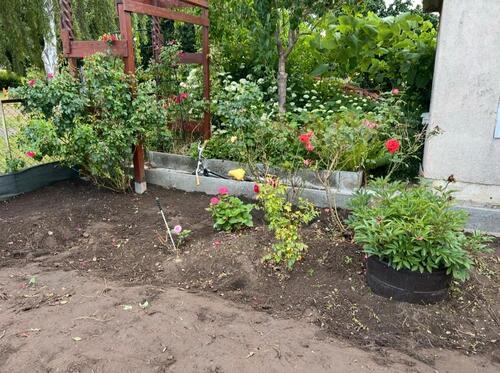 Foto - Grundst&uuml;ck in Greifswald zur Miete