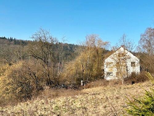 Foto - Historisches 3-Familienhaus (Außenbereich) für Individualisten