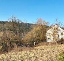 Historisches 3-Familienhaus (Außenbereich) für Individualisten - Bad Brückenau