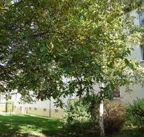 Große Wohnung gewünscht? - 550,00&nbsp;EUR Kaltmiete, ca.&nbsp; 72,00&nbsp;m&sup2; in Aschersleben (PLZ: 06449)