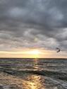 Foto - Nordsee Esens Bensersiel Ferienwohnunghaus Hund Herbstferien