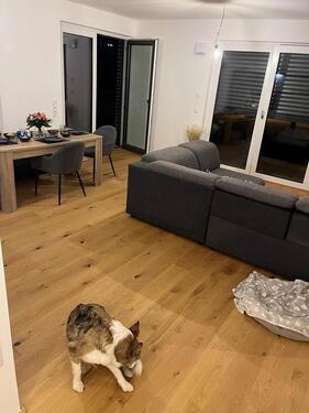 Foto - 2 Zimmer Etagenwohnung in Ingelheim am Rhein