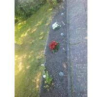 Kleingarten - 4.000,00&nbsp;EUR Kaltmiete, ca.&nbsp; 0,00&nbsp;m&sup2; in Rostock (PLZ: 18106) Evershagen