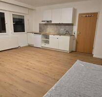 Möbliertes Apartment mit Einbauküche und geteiltem Bad - Rielasingen-Worblingen