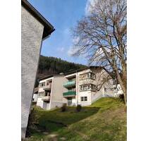 Mehrfamilienhaus in Todtnau 399.000€