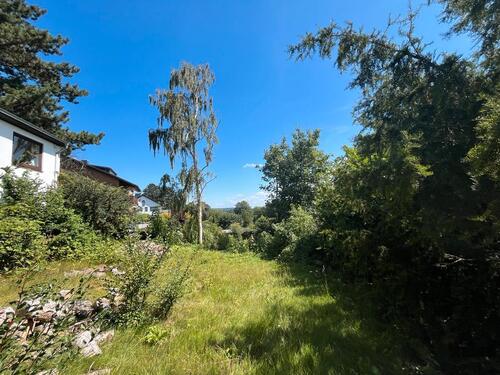 Foto - Grundst&uuml;ck zur Miete in Börnsen