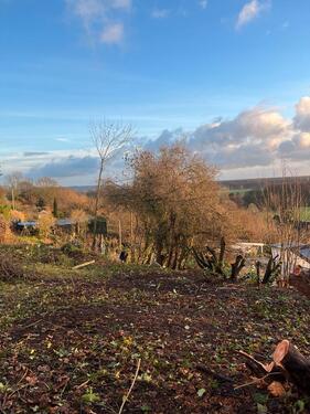 Foto - Grundst&uuml;ck in Börnsen