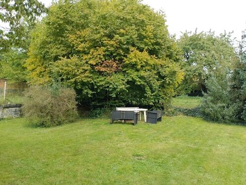 Foto - 2 Zimmer Wohnung - 480,00 EUR Kaltmiete,