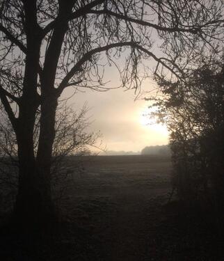 Foto - Tiefgaragenstellplatz (kein Duplex)
