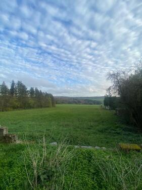Foto - Einfamilienhaus zum Kaufen in Peterswald-Löffelscheid