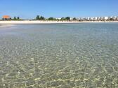 Foto - Fehmarn Ferienwohnung am Südstrand, Wlan + Strandkorb am Strand