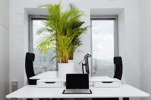 Foto - Coworking Flexible Arbeitsplätze im Jentower - All-in-Miete