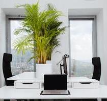 Coworking Flexible Arbeitsplätze im Jentower - All-in-Miete - Jena