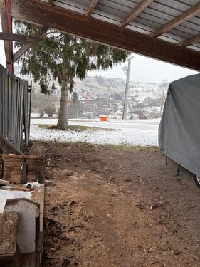 Foto - andere zur Miete in Ühlingen-Birkendorf