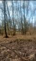 Foto - Gartenland, Wald zur Pacht,Miete in Coswig( Anhalt)