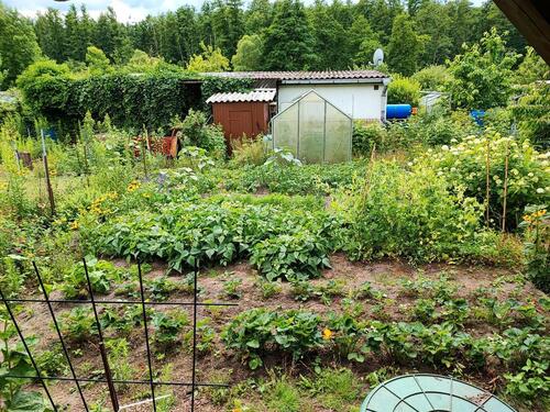 Foto - Garten abzugeben - Hinterste Mühle