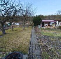 Garten abzugeben - Hinterste Mühle - Neubrandenburg