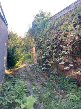 Foto - Grundstück zur Miete in Neustrelitz