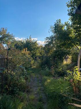 Foto - Grundstück in Neustrelitz