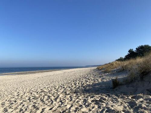 Foto - Frühling Ostsee 4* Ferienwohnung Sauna und Schwimmbad Usedom