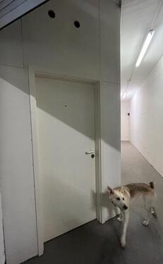 Foto - andere in Bremen