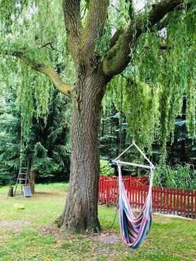 Foto - andere in Kröslin