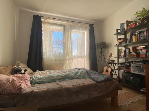 Foto - 1 Zimmer Etagenwohnung zur Miete in Freiberg